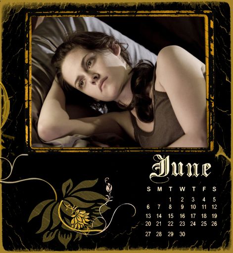 twilight_new_moon_calendar_2010_06.jpg